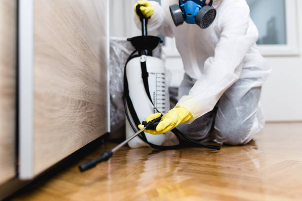 Best Pest Prevention Services  in Castroville, TX