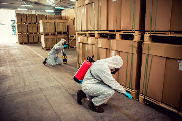 Wasp Removal Services in Castroville, TX