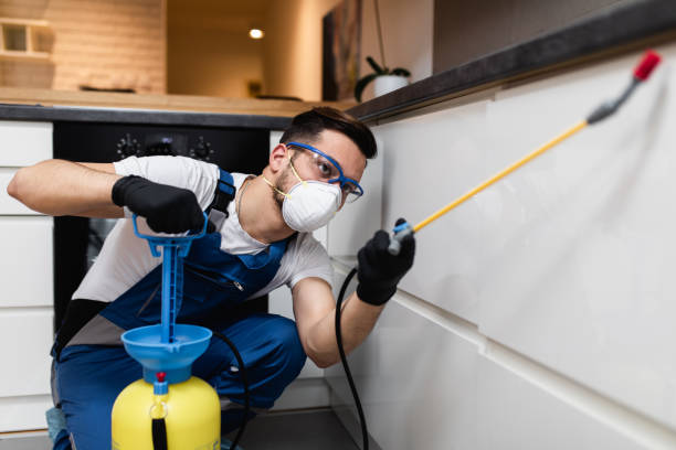 Professional Pest Control in Castroville, TX