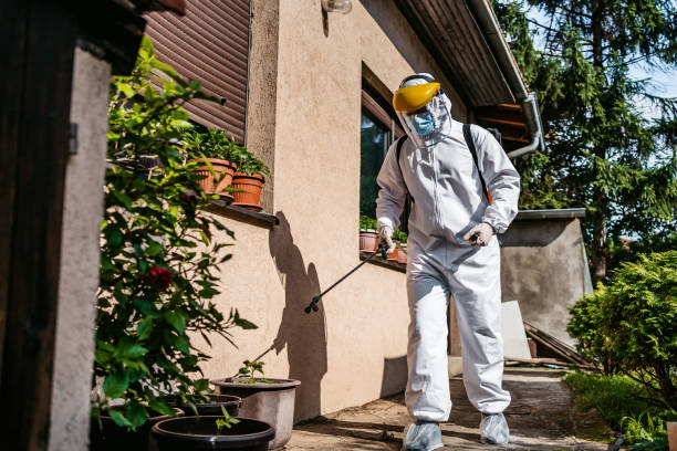 Best Affordable Pest Control Services  in Castroville, TX