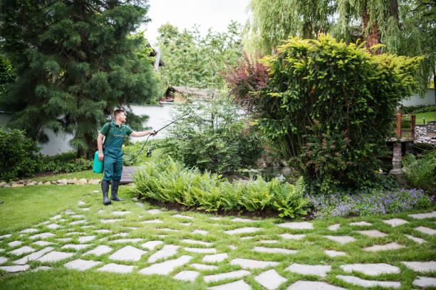 Wasp Removal Services in Castroville, TX