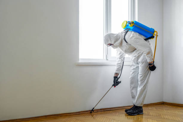 Best Pest Inspection Near Me  in Castroville, TX