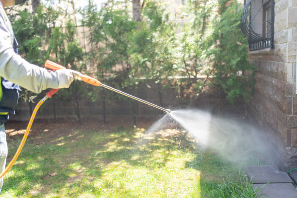 Best Commercial Pest Control Services  in Castroville, TX