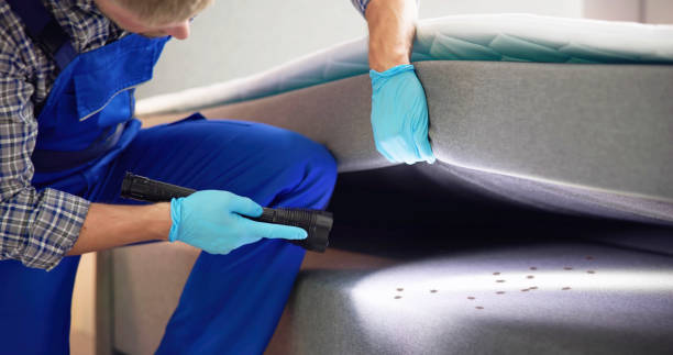 Best Emergency Pest Control  in Castroville, TX