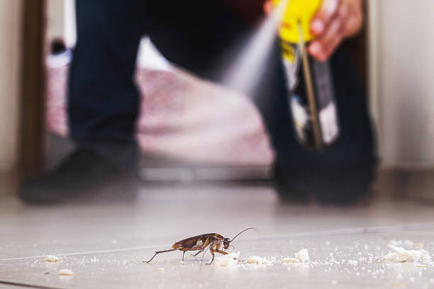 Best Best Pest Control Companies  in Castroville, TX